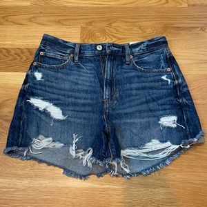 American Eagle 90s Boyfriend Jean Shorts
